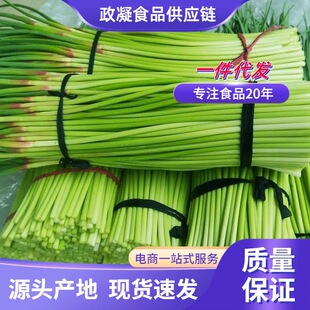 2025�Fժ��؛���r��̦5-9����޷�r������ԷN���箔�����߲�����