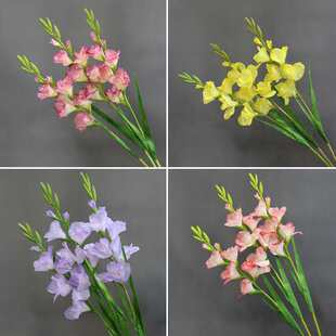 ���m�����滨�b[�����ܼٻ��л�Y��ش�ƿ�廨��c