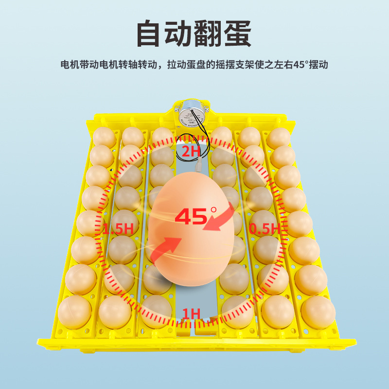 48 Placa de huevo de codorniz de pato de pollo huevo automático torneado pequeño hogar mini incubadora Placa de huevo con motor suministro transfronterizo