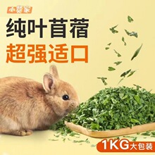 苜蓿纯叶子幼兔食用紫花苜蓿兔子猪饲料粮新鲜