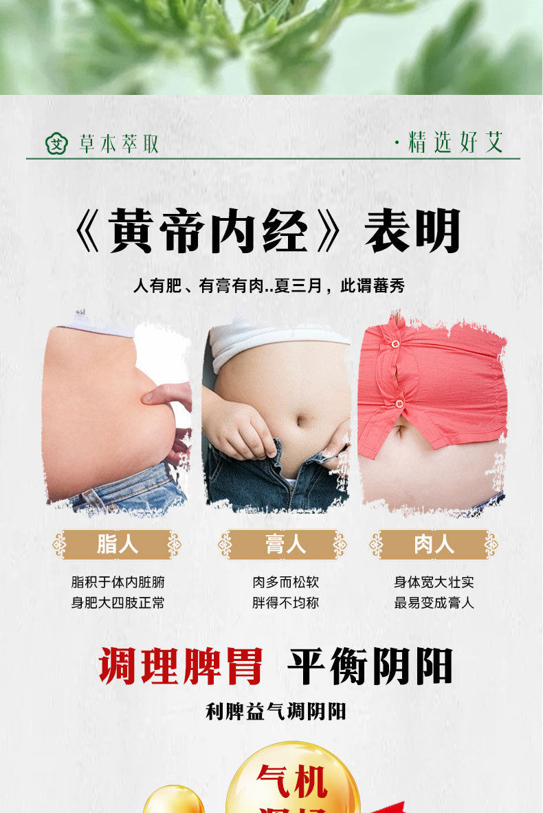 Mugwort Damp Clearing Cream Ointment Warming Herbal Balm for Neck Shoulder Waist and Legs 250g preparation