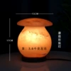 Mushroom salt lamp