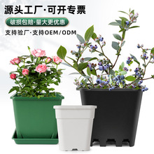 黑色月季蓝莓花盆加厚青山加仑方盆塑料方型控根盆白色正方形花盆