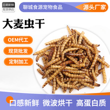 �S�ҹ��������x�� �������ϵ��״��S���x�� ���l�ߵ���
