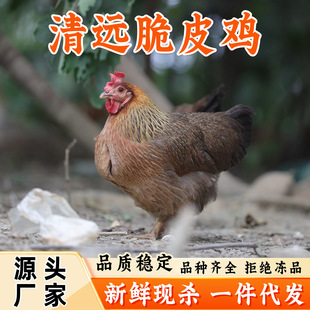 ��һ�����l����Ƥ�u���u�ߵ��u���r�F�����r�u���l�������lɣ���u