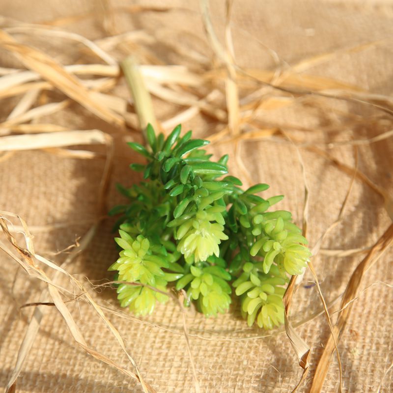 Manufacturer's six-headed jade lotus succulent plant simulation flower garden wedding bouquet flower wall plant wall artificial flower MW17692