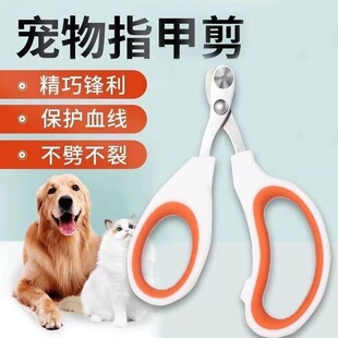 Cat Nail Scissors Round Hole Stainless Steel Pet Blind Scissors Cat Nail Clippers Cross-Border Supplies Pet Care