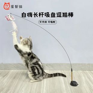 ����؈�羳�������NС�B�L�U䓽z��؈����ë��N��Q�^��ҧ؈���