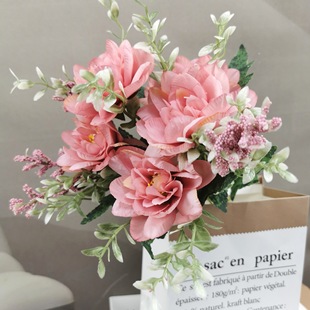 �羳���l���W���滨5����ѩ�m�Ҿӻ�c�b����m����Ӱ���Ĕz�ٻ�
