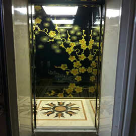 定 制东莞别墅电梯复式电梯四层室内二三五层曳引无底坑别墅电梯