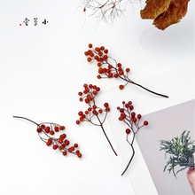 ��ɽ�w����Сֲ֦���ز��ֹ�����ֲ��˱��ռ�����Ĕz�����F�z