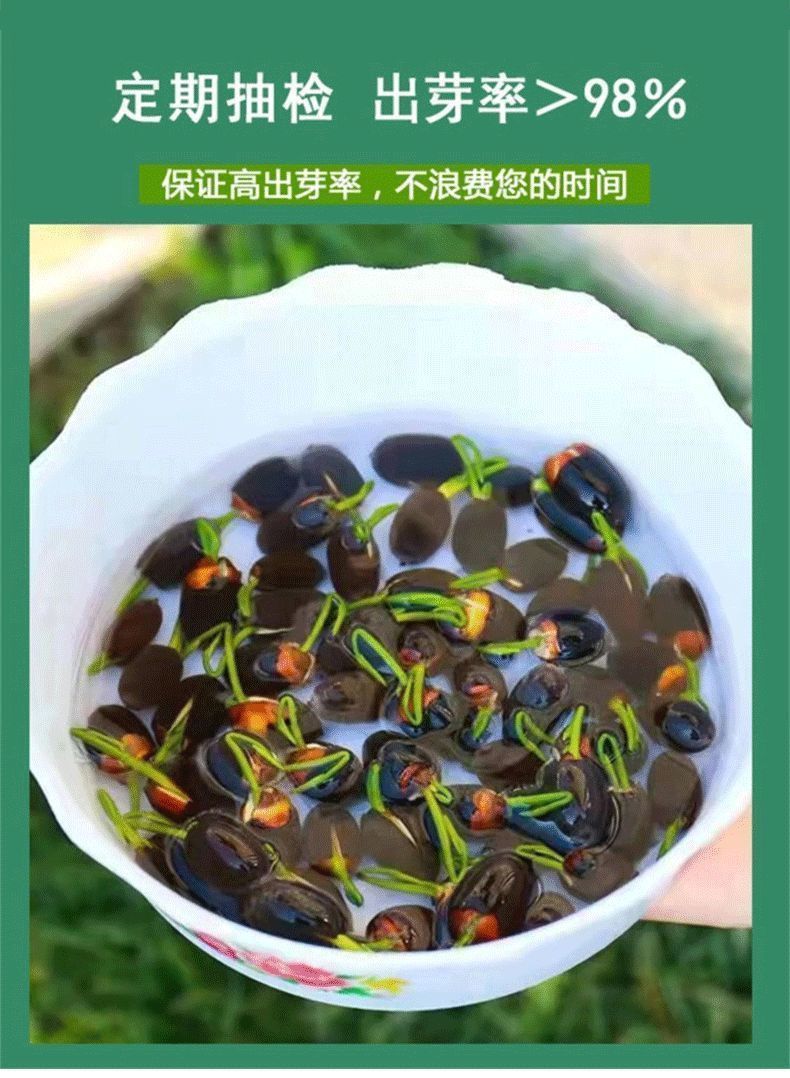 3d271174-d281-453c-8e2e-26765d10ad21.jpe