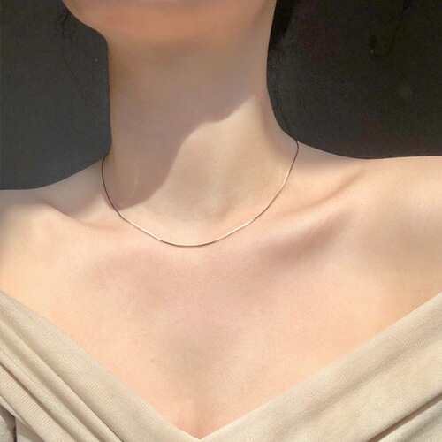 S925 sterling silver snake bone chain necklace hot girl personality cool style ins can be stacked thin simple clavicle chain necklace
