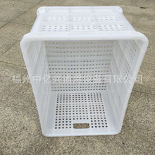 �S�����l�������D�丣���������Ͽ������бP��������Ͱ