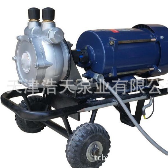 油类输送泵TDO 柴油输送泵 煤油输送泵 汽油输送泵 溶剂油输送泵