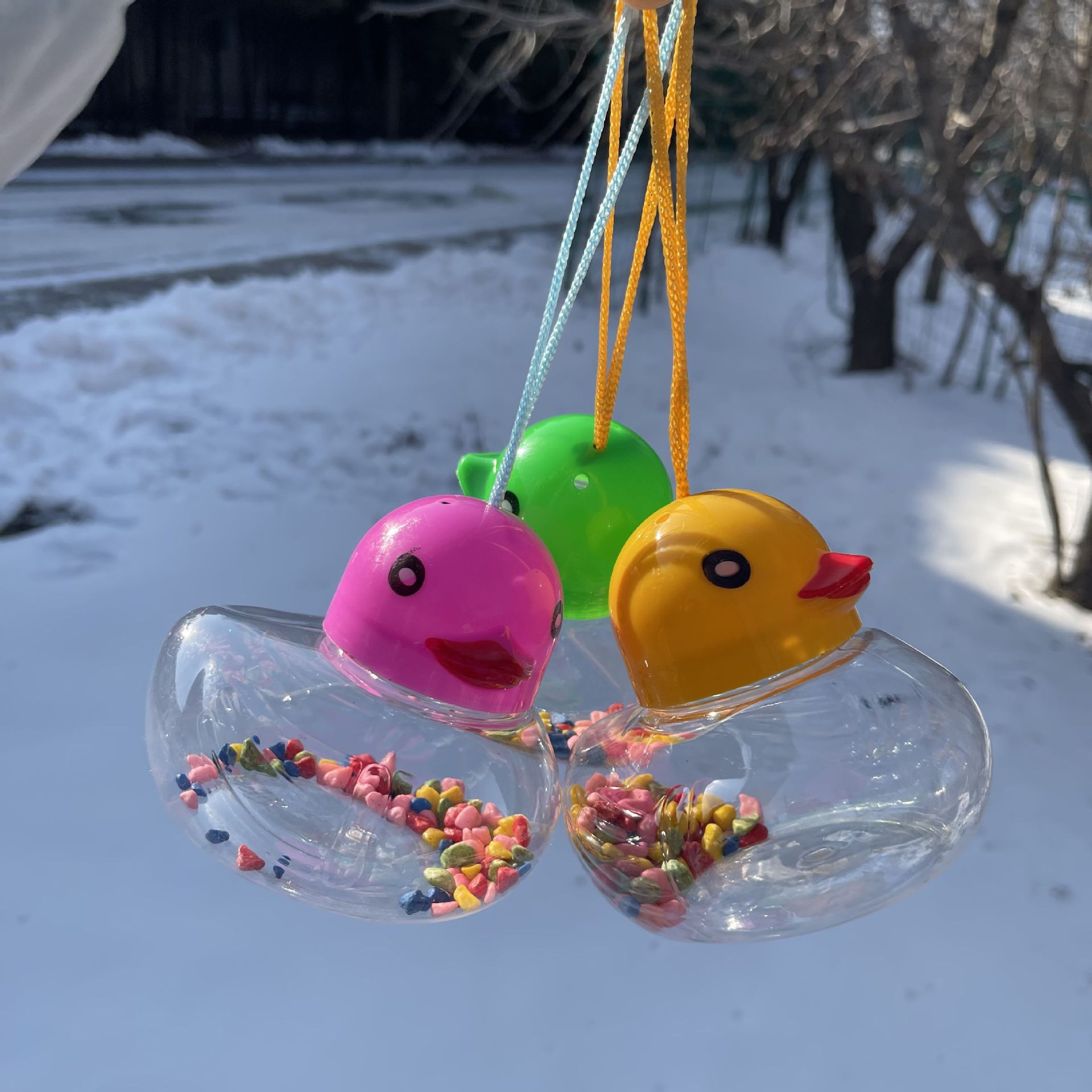Mini Pecera Portátil de Plástico para Peces Pequeños y Tortugas image 5