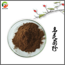 乌灵参 乌灵参提取物 乌灵参纯粉 雷震子提取物 现货乌灵菌粉