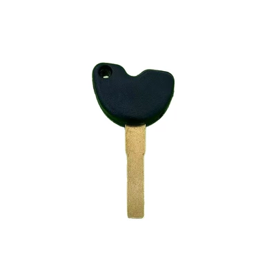 Gts300, Motorcycle Key