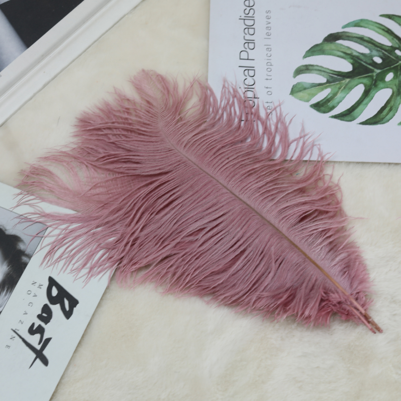 Plumas de avestruz bodas blancas de avestruz guía de plumas accesorios de fotos adornos rojo rosado en línea grandes plumas decoración