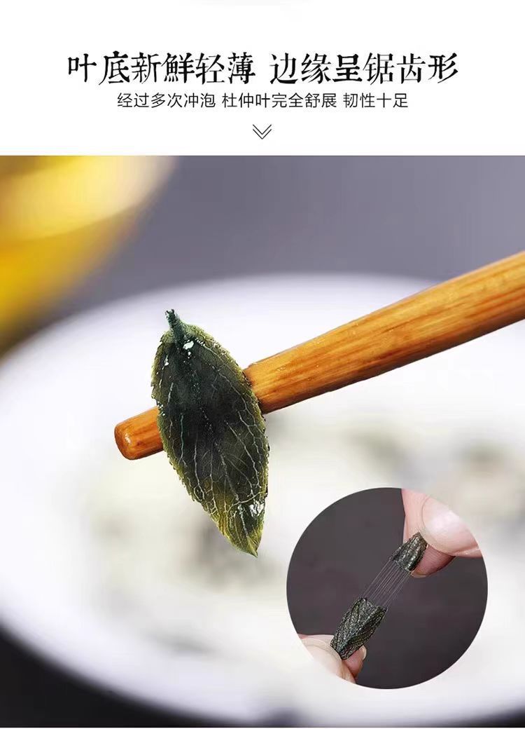 Eucommia Leaf Tea Du Zhong Ye 50g Jar Dried Herbal Tea Leaves for Daily Brewing specifications