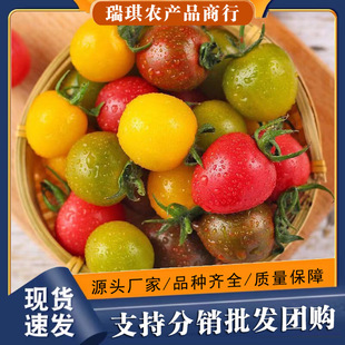 ��ɫ�}Ů���������t����ɫС���Ѱ��]С����ˮ������һ�����l