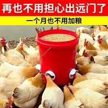 新款家禽自动喂料器鸭子喂食器喂鸡食槽喝水鹅料槽