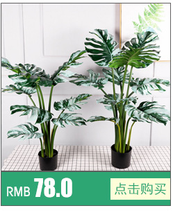 绿典植物关联_09.jpg