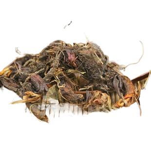 ���l��ș�ĸ��� ������ ���ɸ� ���� ������