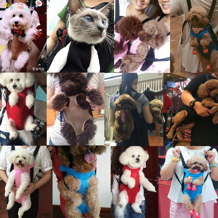 Mochila para mascotas clásica, para perros y gatos, transpirable y portátil, tipo mochila de pecho, venta de fabricantes.