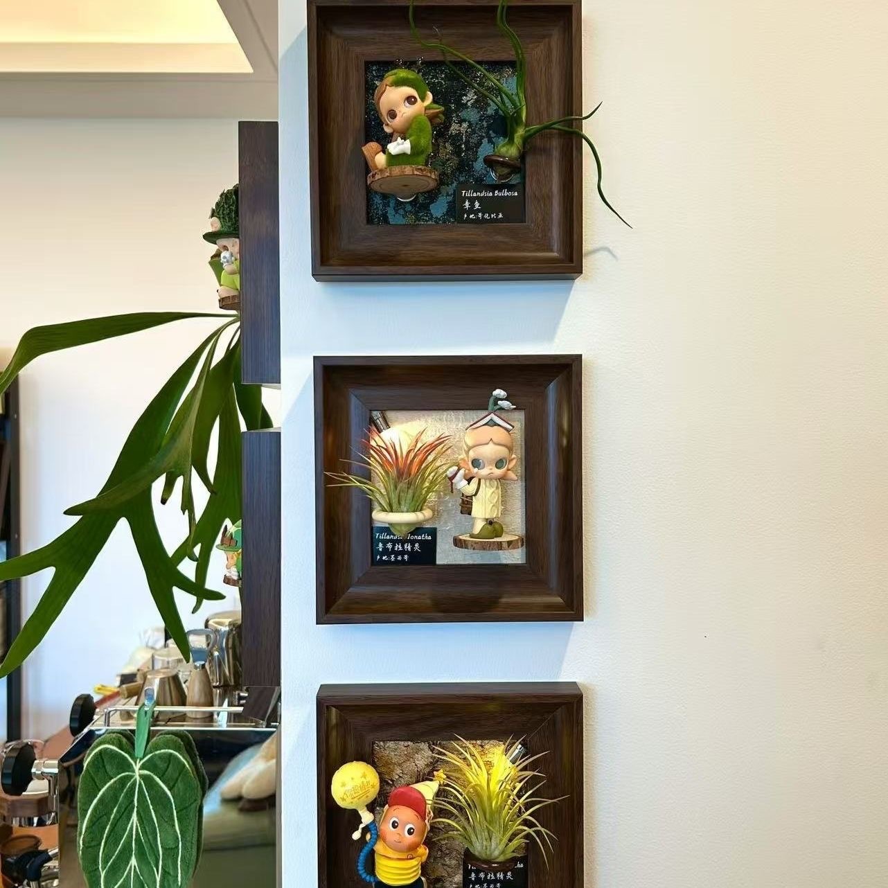 Air Pineapple Medieval Same Style Blind Box Display Photo Frame DIY Bubble Mart Wall Decoration Desktop Ornaments Green Plants