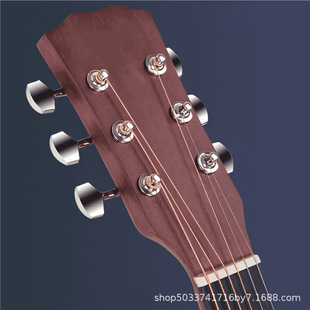 �������T��ľ���W�߼����д�41�پ����W������38Ů���������{