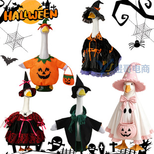�羳�f�}��Ů���b��T���Z���ؚ�ղ����Z�b��ƺ�����b�����b���l