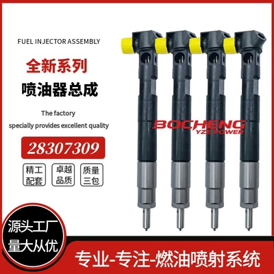 28307309 A6510703087 Electronic Fuel Injection Common Rail Injector Nozzle Assembly Is Suitable for Benz