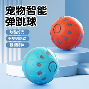 ���������� �羳��������򶺹����������ԄӶ�����늄ӹ������