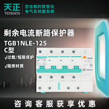 ��������©��125A��·��  TGB1NLE-125 C��©�籣����