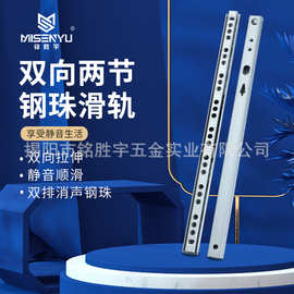 MSY-17 工厂直销17mm宽mini极窄走珠滑轨小两节双向可抽拉导轨