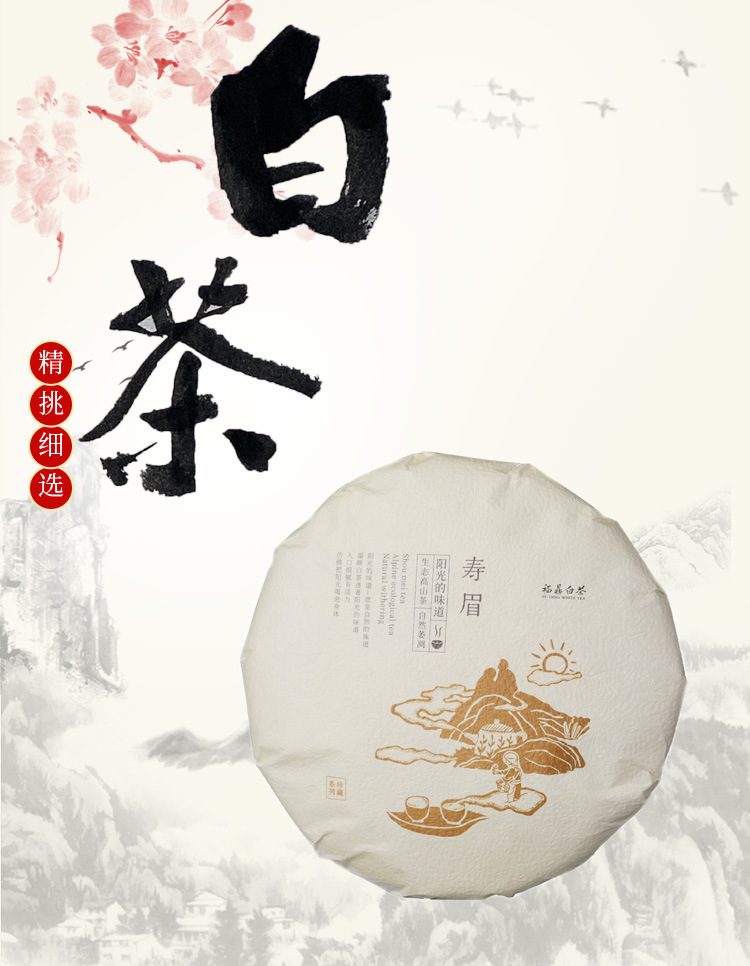 白茶2023_01