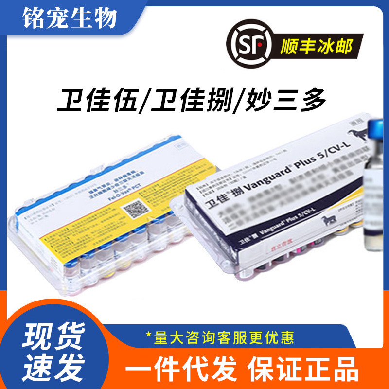 美国辉瑞妙三多疫苗 卫佳伍五 卫佳捌八狗狂犬疫苗猫瘟宠物幼猫犬