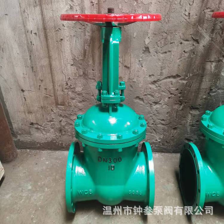 铸铁铸钢衬胶法兰闸阀 Z41J-16C DN40衬胶闸阀 软密封衬胶闸阀