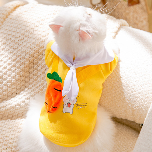 Cat clothes, autumn and winter warm sweatshirt, anti-shedding ragdoll, Garfield bag, small dog pet clothing