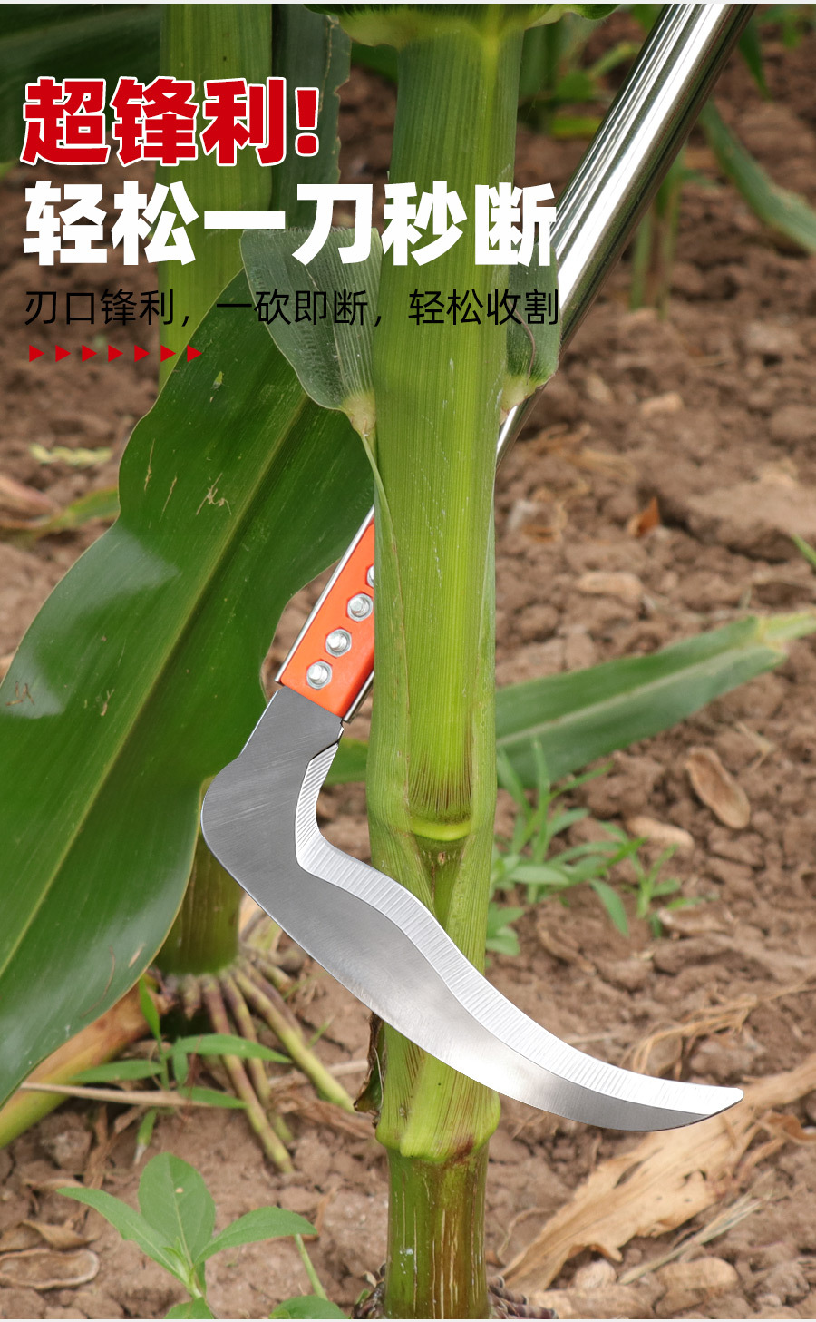 yumiliandao题-1_02.jpg