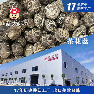 �軨����؛�����ɶ�����񻨹����㹽�ɷ�ľҰ����2-3cm���؂䰸