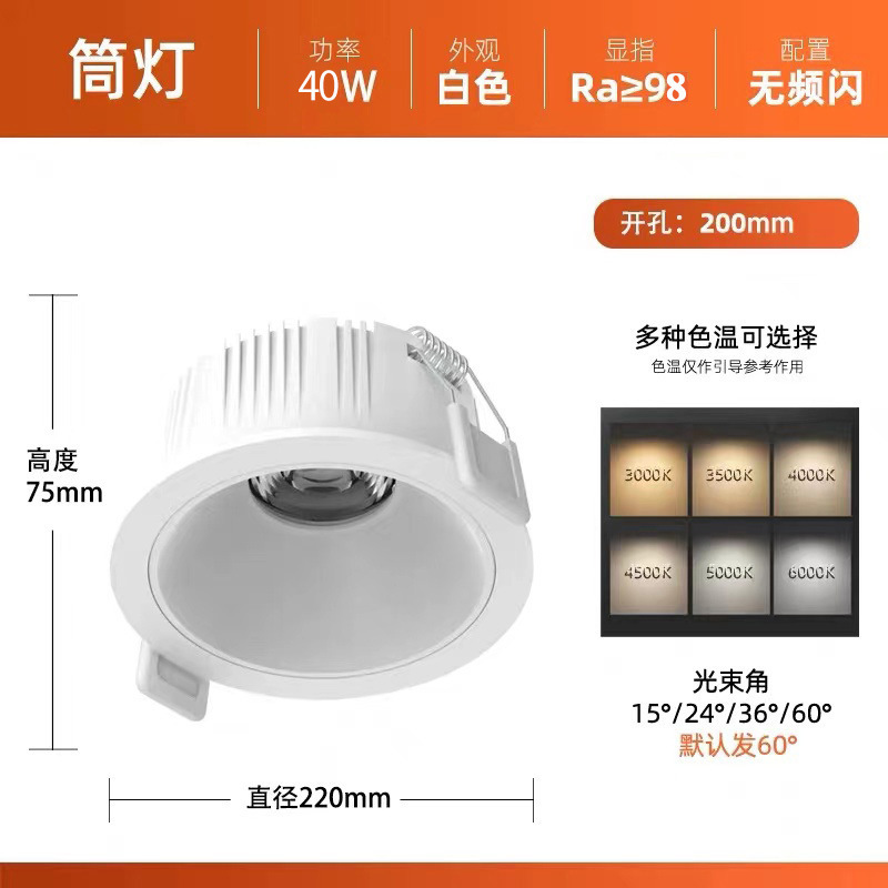 衣料品店ダウンライト98高発色5000Kストロボなし25w30w12穴4500K店舗业务用照明ダウンライト|undefined