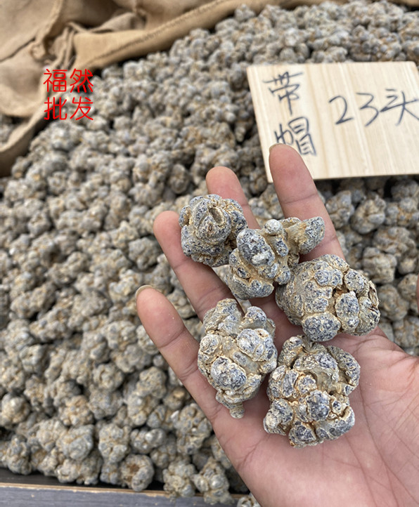 微信图片_20221016214828