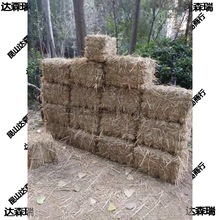 ��Ȼ�ݶ�ɵ��ݹȲݸɲ݉|�C�|�Ӹɵ��u�C�u�C����픺̲ݶ��b�