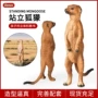 儿童实心认知跨境模型