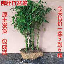 �_�h�����������҃ȿ͏d�k���������ļ����������Ϙ�����С�辰