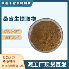桑寄生提取物桑寄生粉桑寄生水溶粉桑寄生萃取粉桑寄生