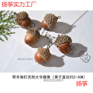 ��Ď����������������ᔸɹ�����