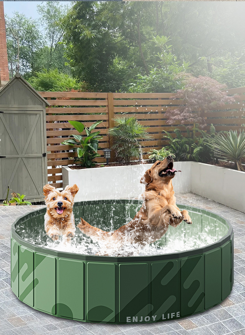 O1CN01nkdjhM2CLMZ5BISDh_!!2215